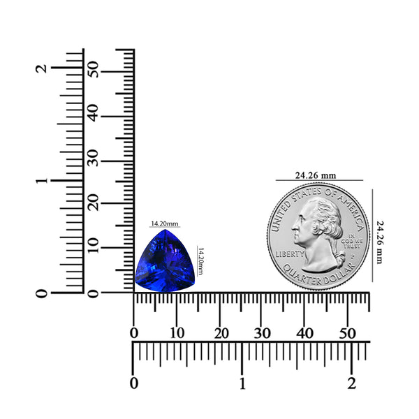 9.64ct Trillion Certified AAAA Tanzanite Gemstone 14.20x14.20mm