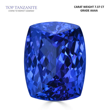 7.37ct Cushion Certified AAAA Tanzanite Gemstone 13.03x10.17mm