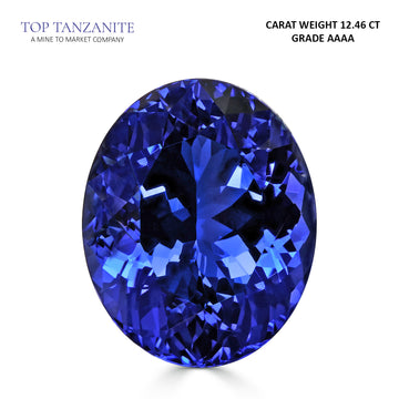 12.46ct Oval Certified AAAA Tanzanite Gemstone 16.51x13.43mm