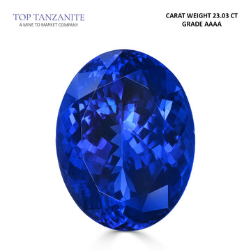 23.03ct Oval AAAA Tanzanite Gemstone 19.83x15.24mm
