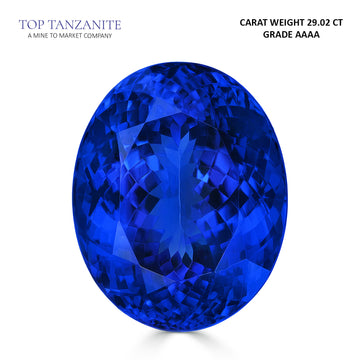 29.02ct Oval AAAA Tanzanite Gemstone 20.70x16.88mm