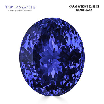 22.81ct Oval Certified AAAA Tanzanite Gemstone 18.41x15.29mm