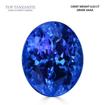 6.63ct Oval Certified AAAA Tanzanite Gemstone 11.92x9.73mm