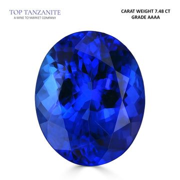 7.48ct AAAA Oval Tanzanite Gemstone 13.73x11.20mm