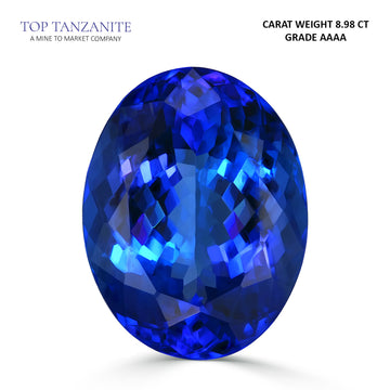 8.98ct AAAA Oval Tanzanite Gemstone 14.82x11.38mm