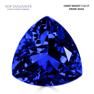 7.31ct Trillion Certified AAAA Tanzanite Gemstone 13.00x13.00mm