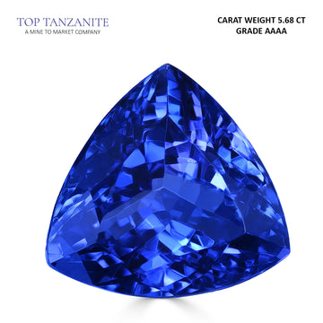 5.68ct Trillion Certified AAAA Tanzanite Gemstone 10.86x11.10mm