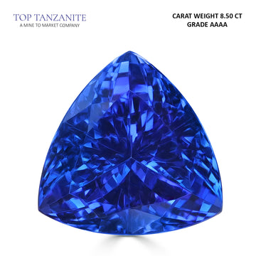 8.50ct Trillion Certified AAAA Tanzanite Gemstone 12.52x12.53mm