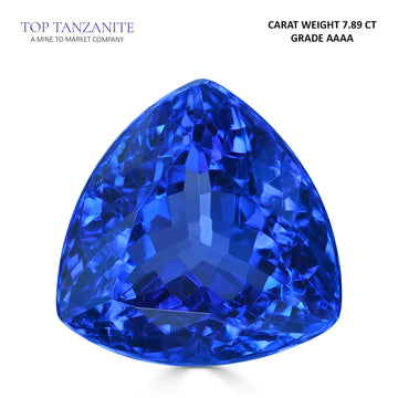 7.89ct Trillion Certified AAAA Tanzanite Gemstone 11.51x11.53mm