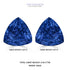 9.33cttw AAAA Matched Pair Trillion Certified Tanzanite Gemstone 10.50x10.50mm