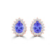 TMR121125 - Cloey - Pear Tanzanite and Diamond Earring Halo