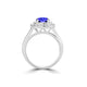 TMR121186 - Ivy - Round Tanzanite and Diamond Ring Double Halo