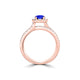 TMR121170 - Gabriella - Round Tanzanite and Diamond Ring Halo