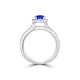 TMR121170 - Gabriella - Round Tanzanite and Diamond Ring Halo