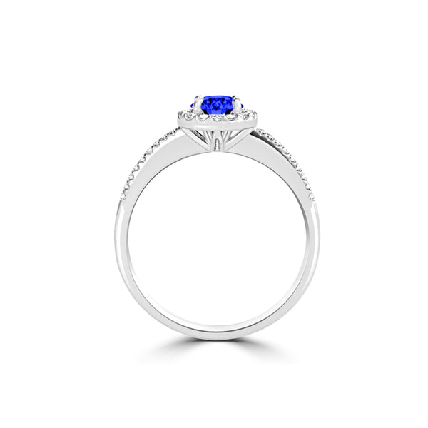 TMR121153 - Everly - Round Tanzanite and Diamond Ring Halo