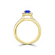 TMR121170 - Gabriella - Round Tanzanite and Diamond Ring Halo