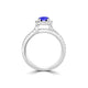 TMR121170 - Gabriella - Round Tanzanite and Diamond Ring Halo