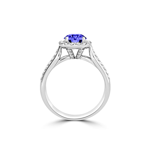 TMR121184 - Quinn - Round Tanzanite and Diamond Ring Halo