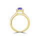 TMR121170 - Gabriella - Round Tanzanite and Diamond Ring Halo