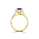 TMR121189 - Lydia - Round Tanzanite and Diamond Ring Halo