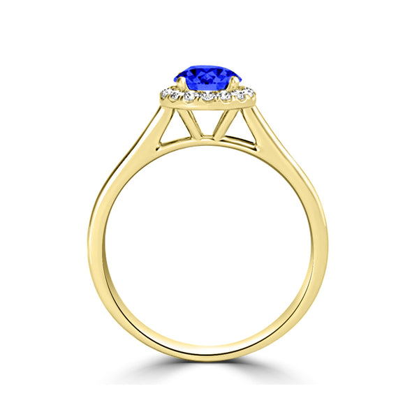 TMR121152 - Paisley - Round Tanzanite and Diamond Ring Halo