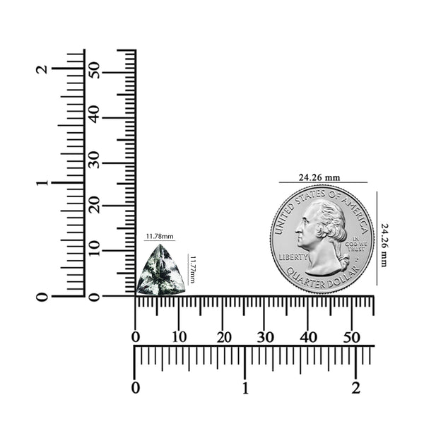 6.59ct Trillion Cut Zoisite Gemstone 11.77x11.78 MM