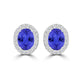 TMR121109 - Harper - Oval Tanzanite and Diamond Earring Halo