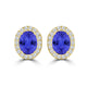 TMR121109 - Harper - Oval Tanzanite and Diamond Earring Halo