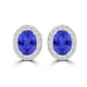 TMR121109 - Harper - Oval Tanzanite and Diamond Earring Halo