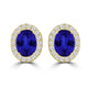 TMR121109 - Harper - Oval Tanzanite and Diamond Earring Halo