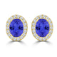 TMR121109 - Harper - Oval Tanzanite and Diamond Earring Halo