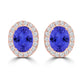 TMR121109 - Harper - Oval Tanzanite and Diamond Earring Halo